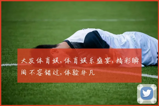 大发体育娱,体育娱乐盛宴,精彩瞬间不容错过,体验非凡